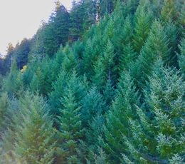 687 IMG20260408121655155