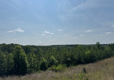 687 IMG 7582