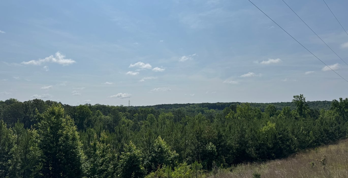 687 IMG 7582