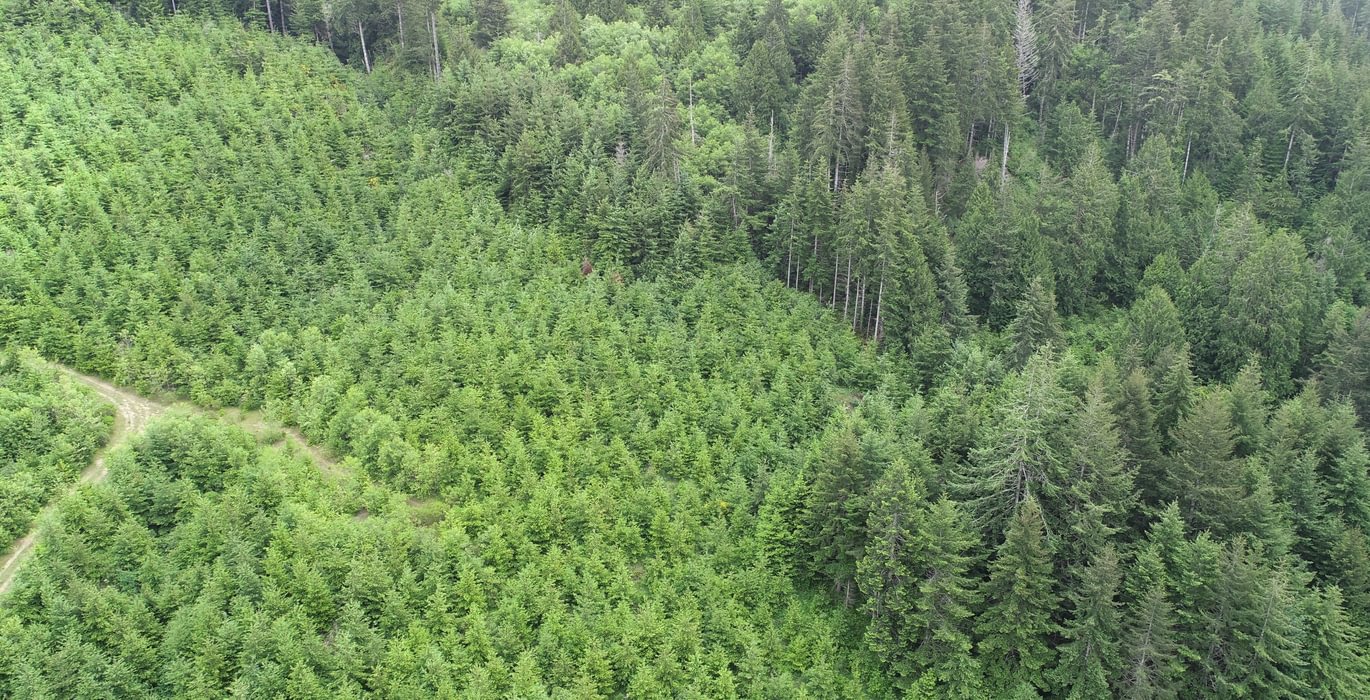 689 DJI 0098