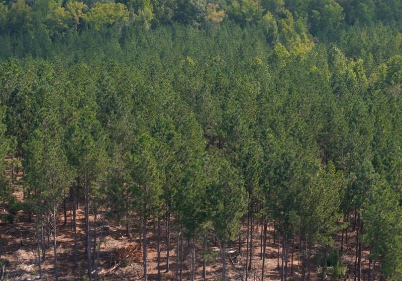 690 Cabin Creek Photo 24