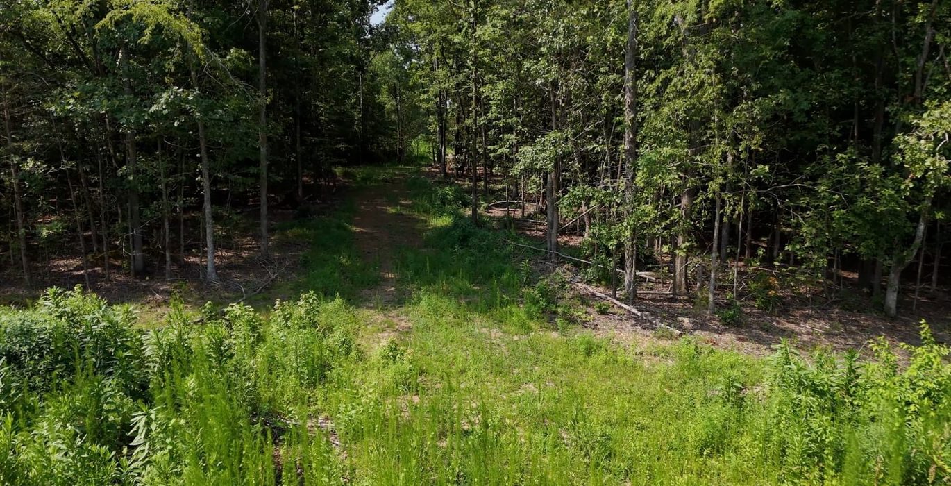 691 AFM Lambert Tract Photo 9