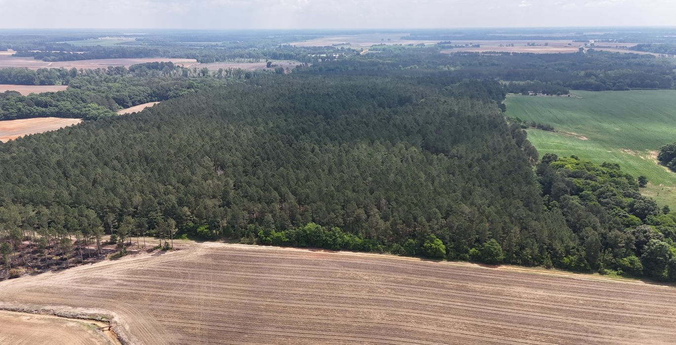 691 DJI 20250508122531 0017 D