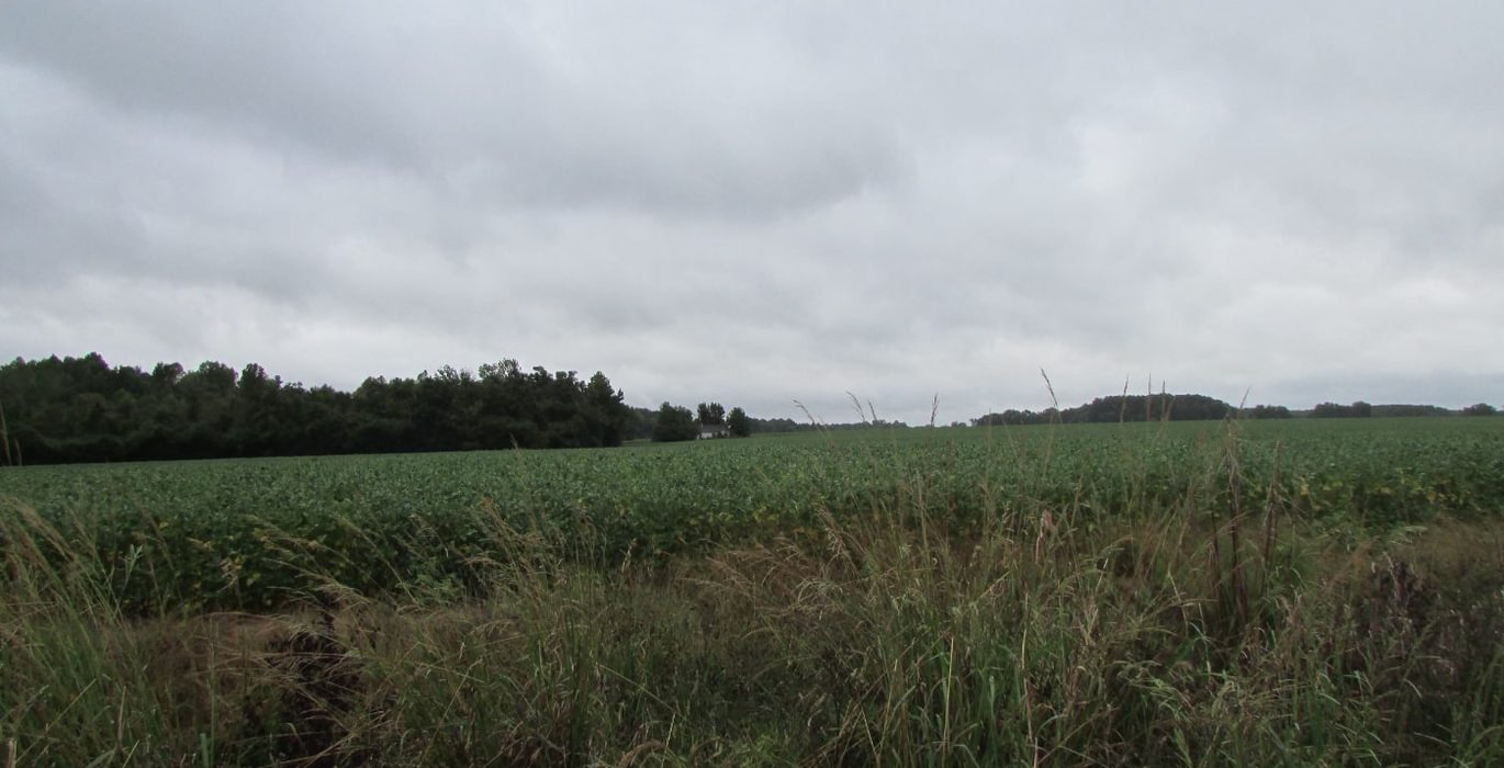691 IMG 1159