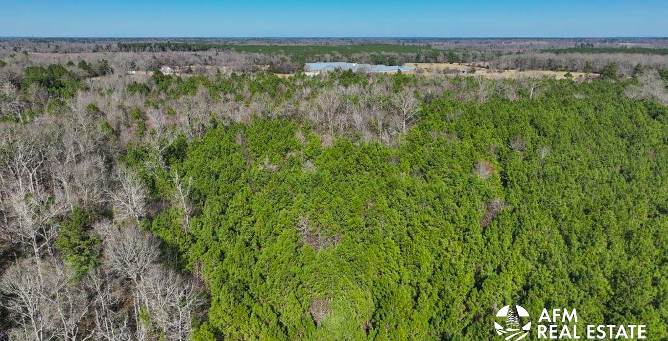 694 DJI 20250201143009 0031 V