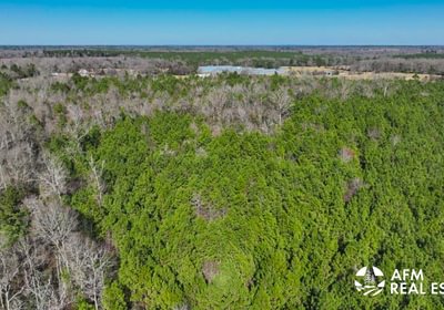 694 DJI 20250201143009 0031 V