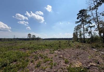 694 IMG 0240