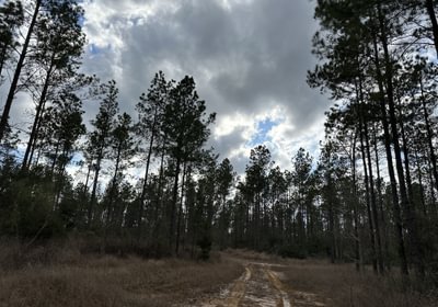 694 IMG 5531