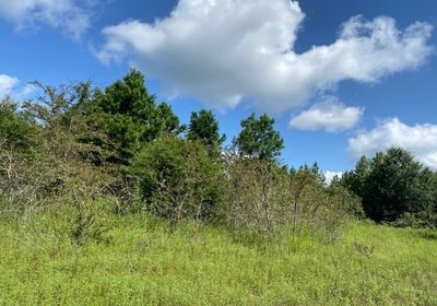 694 gum springs 21