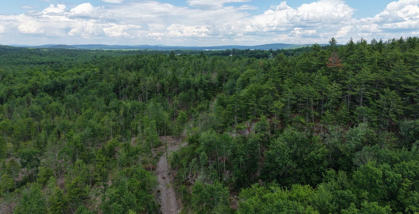 694 logging road
