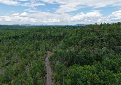 694 logging road
