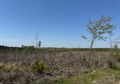 696 IMG 7225