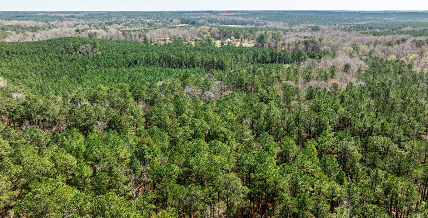 697 AFM Max Pines 19