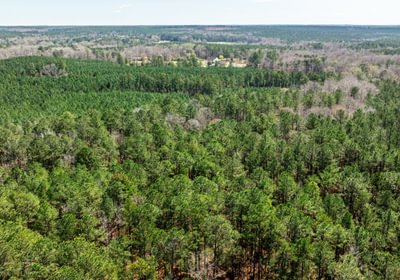 697 AFM Max Pines 19