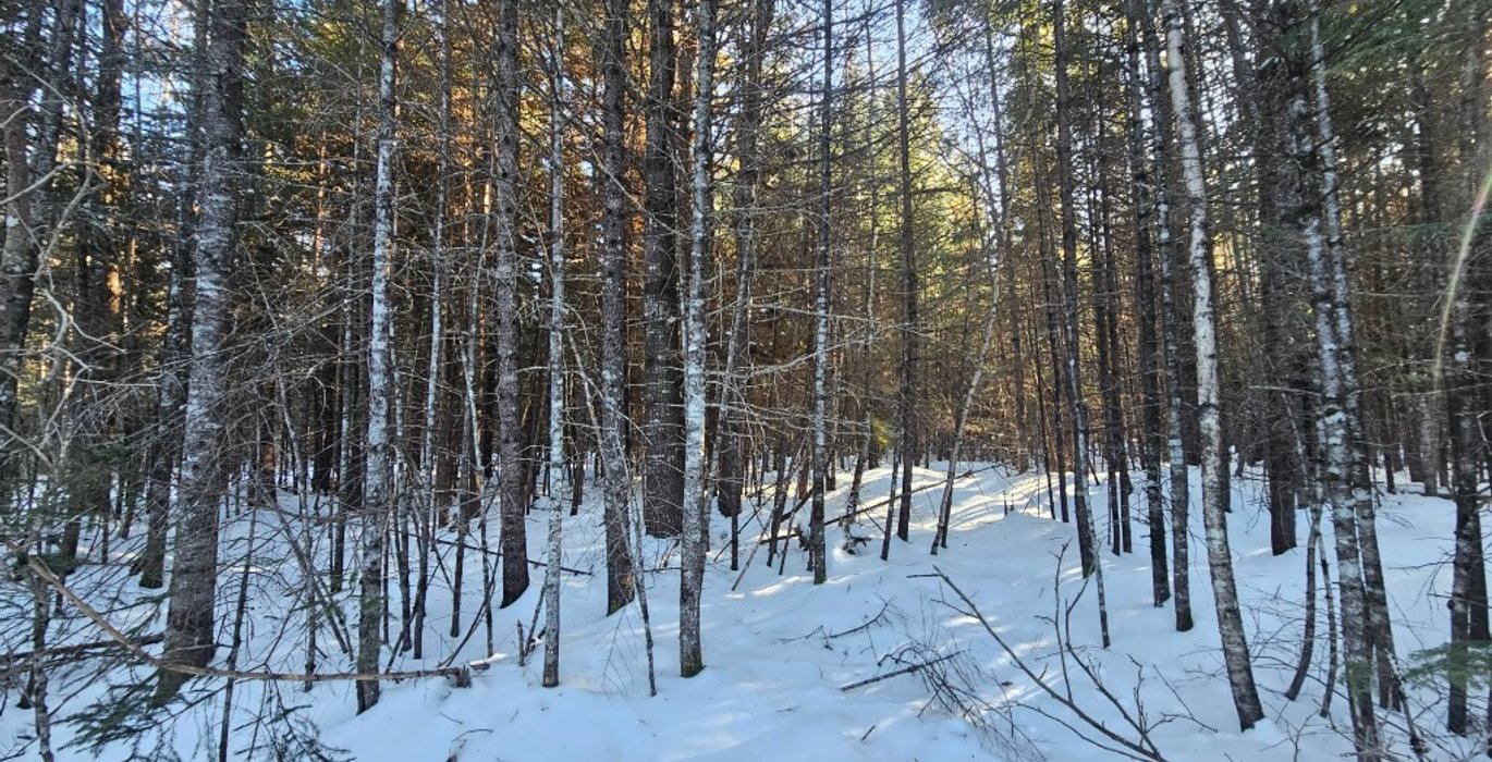 698 6 Lot off Woods Road 4