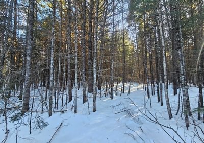 698 6 Lot off Woods Road 4