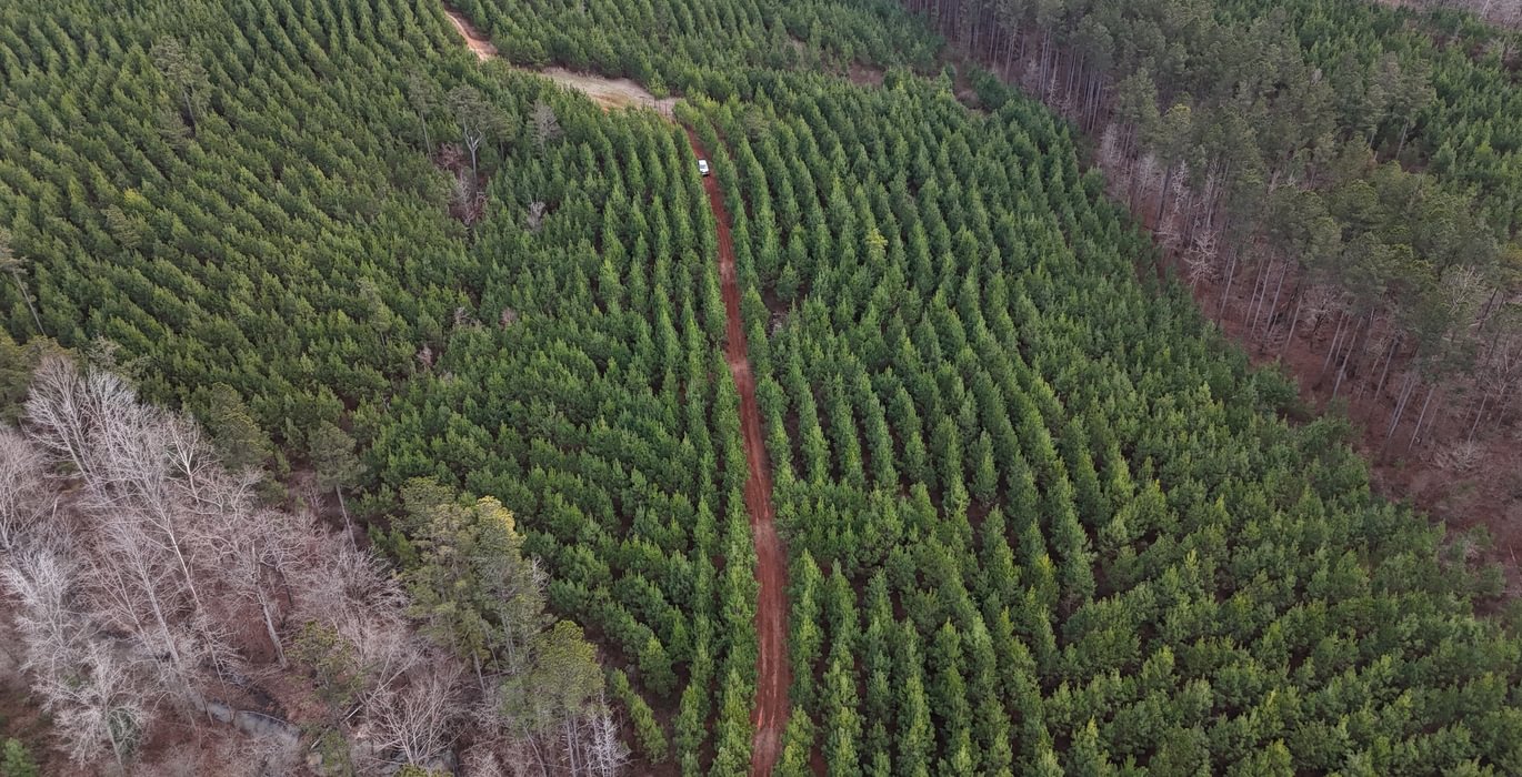 698 DJI 20260129155843 0175 D