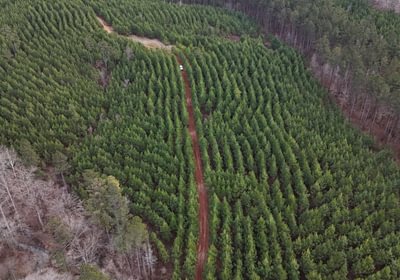 698 DJI 20260129155843 0175 D