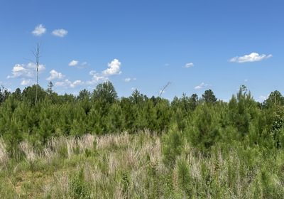 698 IMG 5851