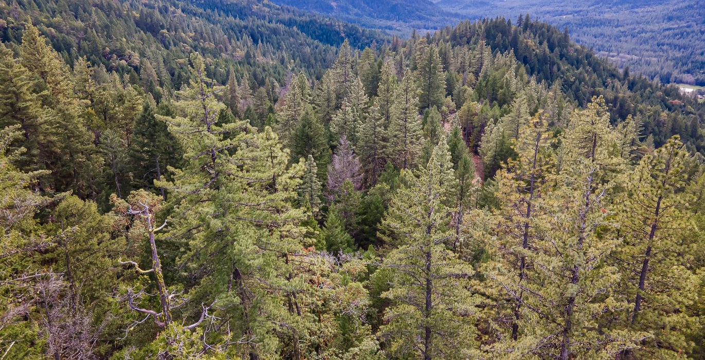 699 DJI 0845 HDR Image Merge