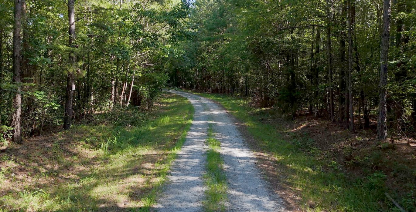 699 Enoree Creek Photo 17
