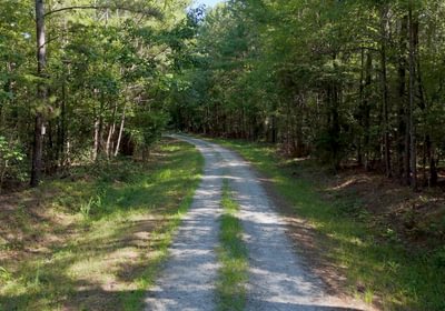699 Enoree Creek Photo 17