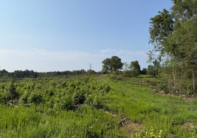 69 IMG 0076