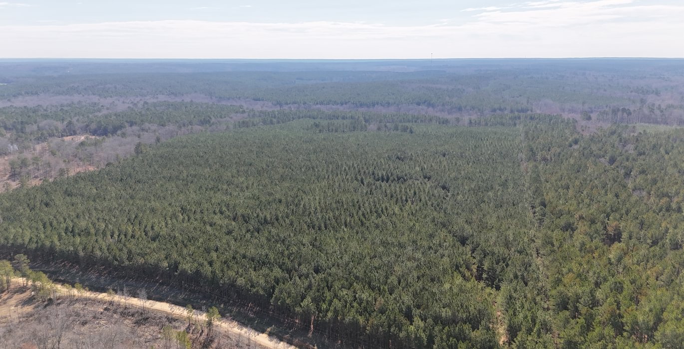 73 DJI 20250224105721 0006 D