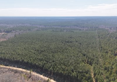 73 DJI 20250224105721 0006 D