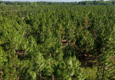 73 Longleaf Mecca Photo 16