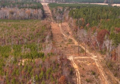 700 AFM Crump Farm Photo 17