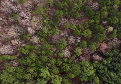 700 AFM West Fork 85 Photo 33