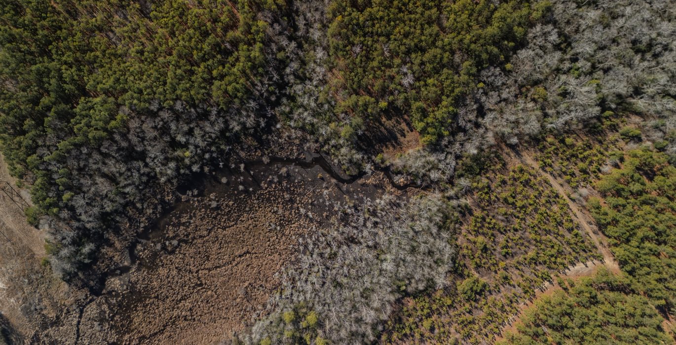 700 DJI 20250120110436 0016 D Enhanced NR 1