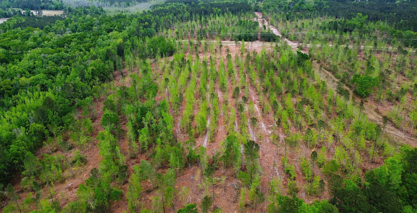 701 dji fly 20260407 145116 213 1775587970781 photo optimized