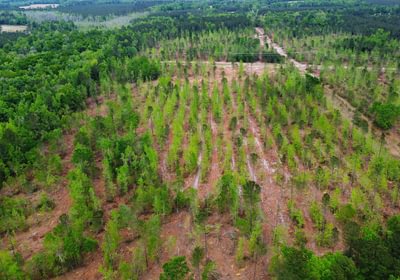 701 dji fly 20260407 145116 213 1775587970781 photo optimized