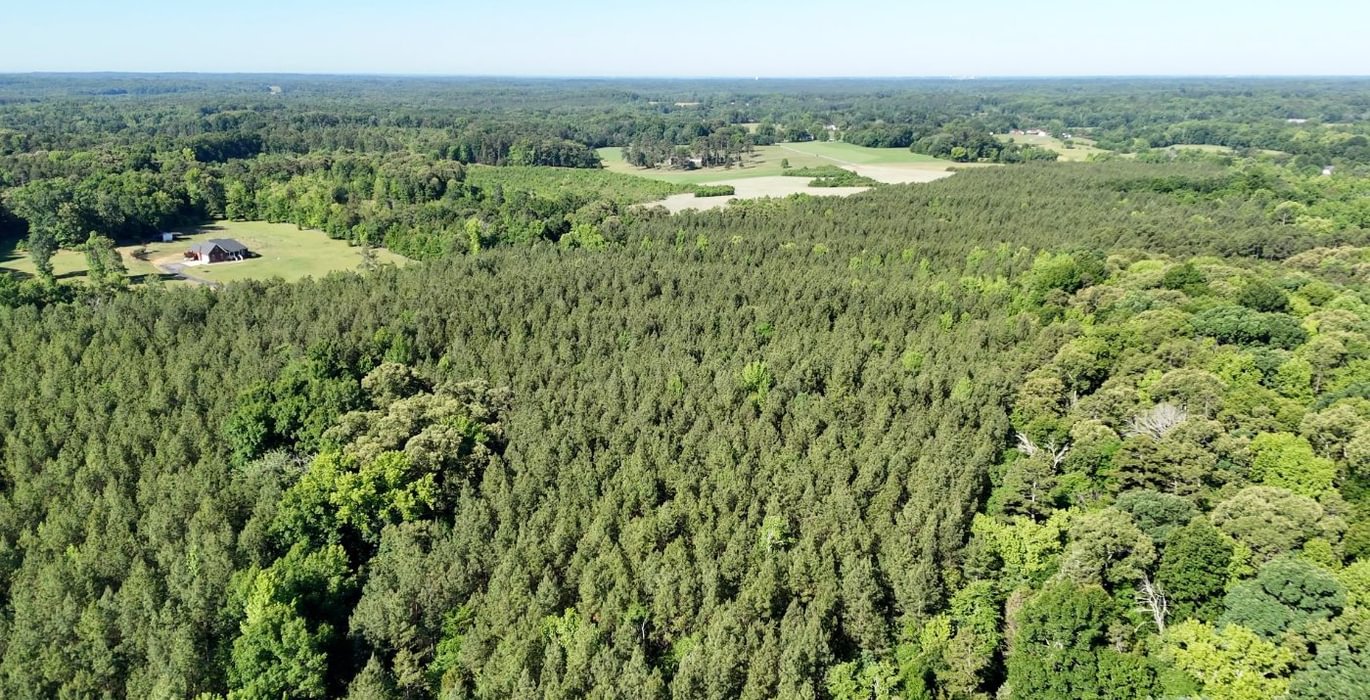 703 AFM Vineyard Road Tract A Photo 4