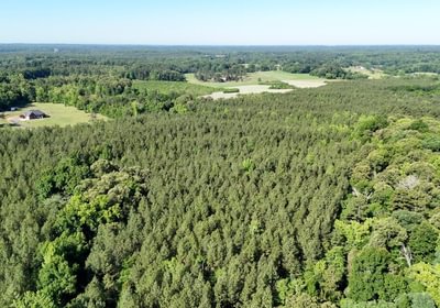 703 AFM Vineyard Road Tract A Photo 4