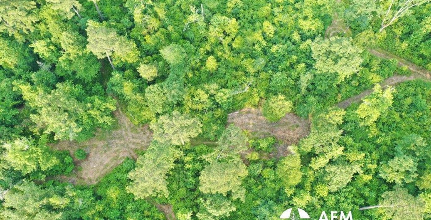 703 DJI 0147