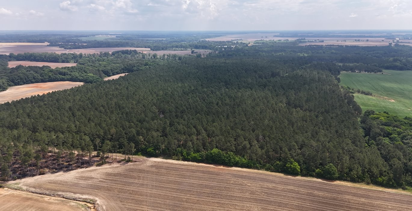 703 DJI 20250508122543 0018 D
