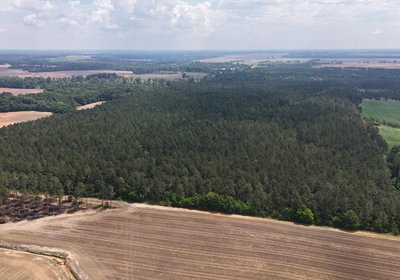 703 DJI 20250508122543 0018 D