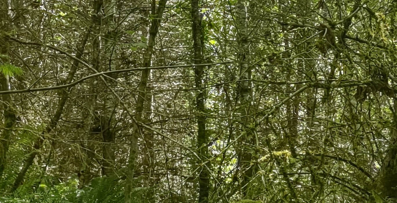 703 IMG 20250604 135920729 HDR 1