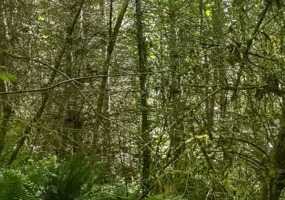 703 IMG 20250604 135920729 HDR 1