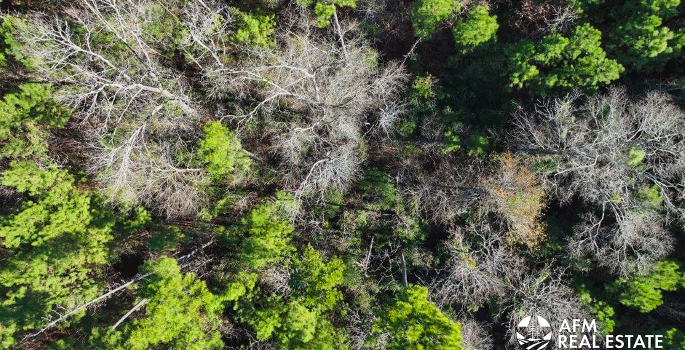 704 DJI 20250131144852 0010 V