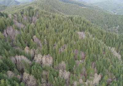 705 DJI 0036