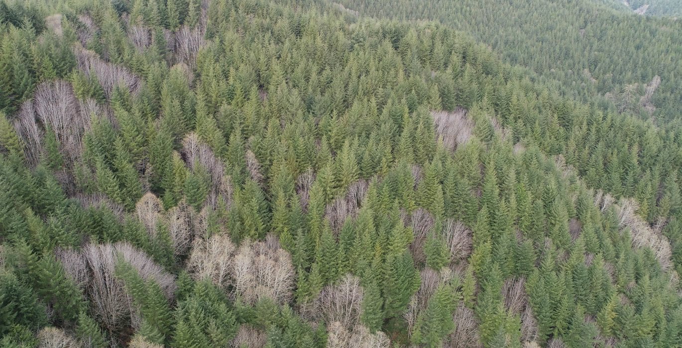705 DJI 0036