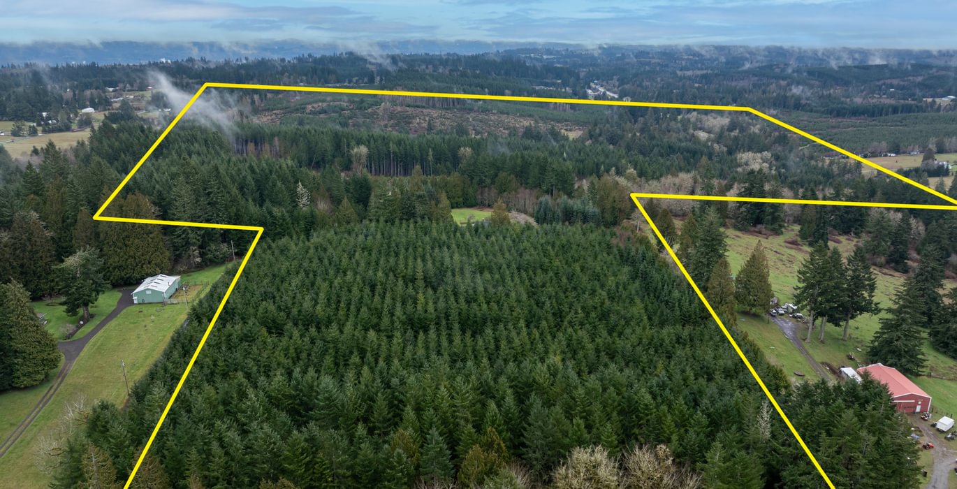 705 DJI 20260222105728 0009 D HLK Edit