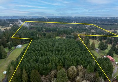 705 DJI 20260222105728 0009 D HLK Edit