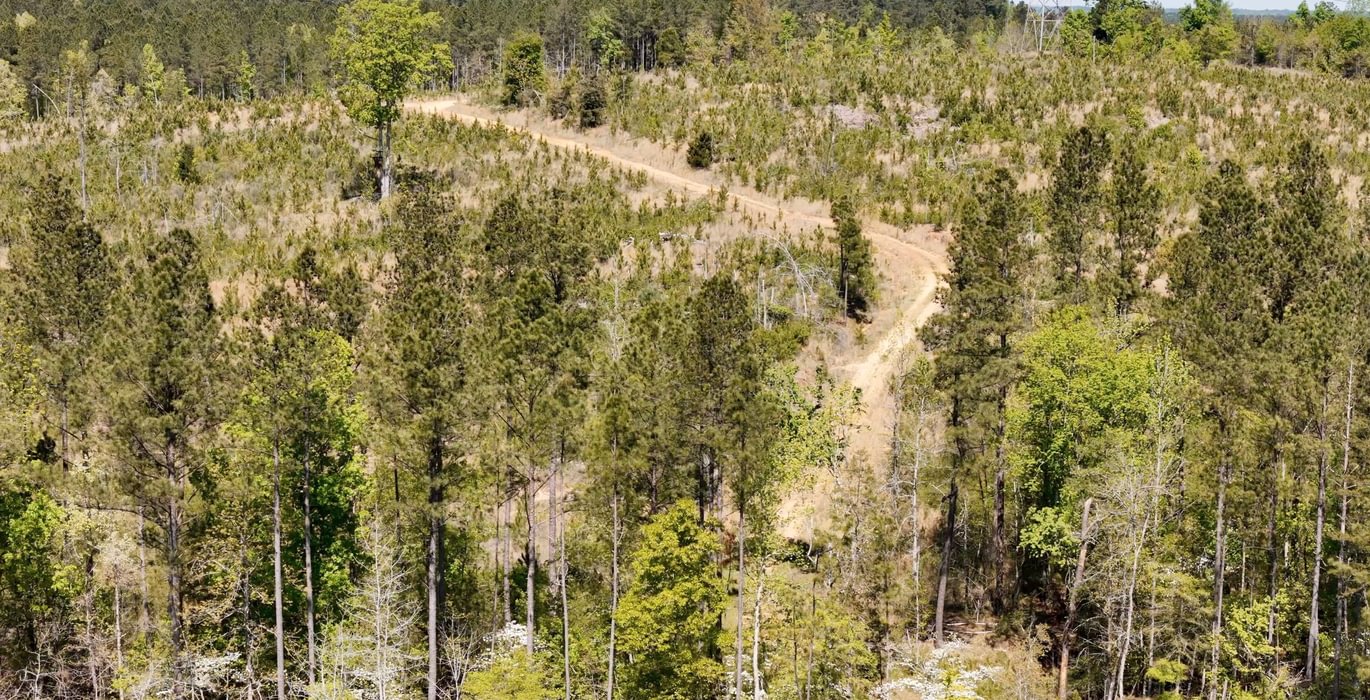 707 AFM Leak Mills Photo 4