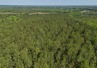 708 AFM Johnson 183 Photo 2