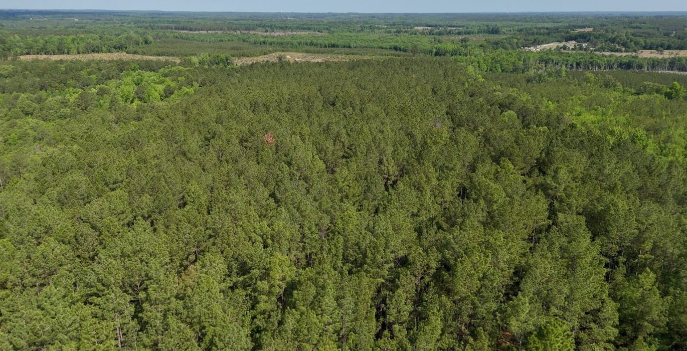 708 AFM Johnson 183 Photo 2